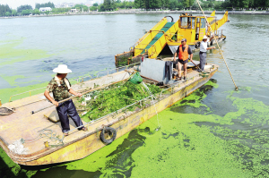 天气越热河道垃圾越多 河道保洁员希望市民别把河道当垃圾桶