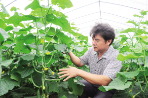 从半亩责任田起步，到如今拥有上千亩蔬菜基地。依靠科技的力量，他带动周边千户农民共同增收致富——蒋学焦 科普惠农兴村带头人