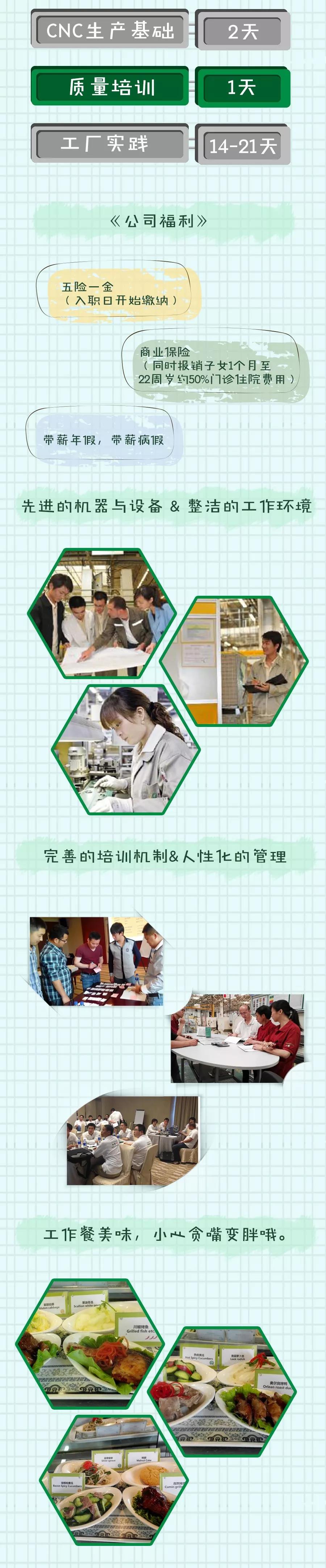 舍弗勒学徒工招聘